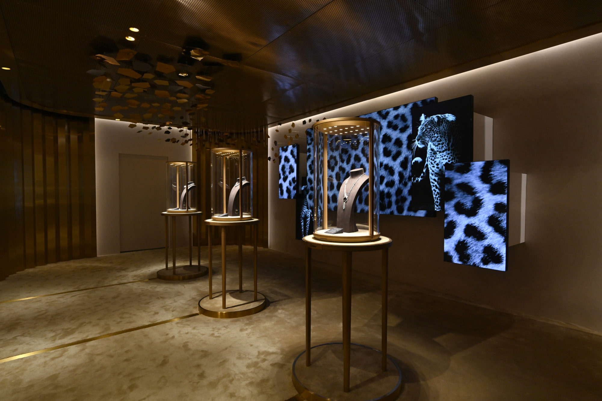 Cartier into the wild deals
