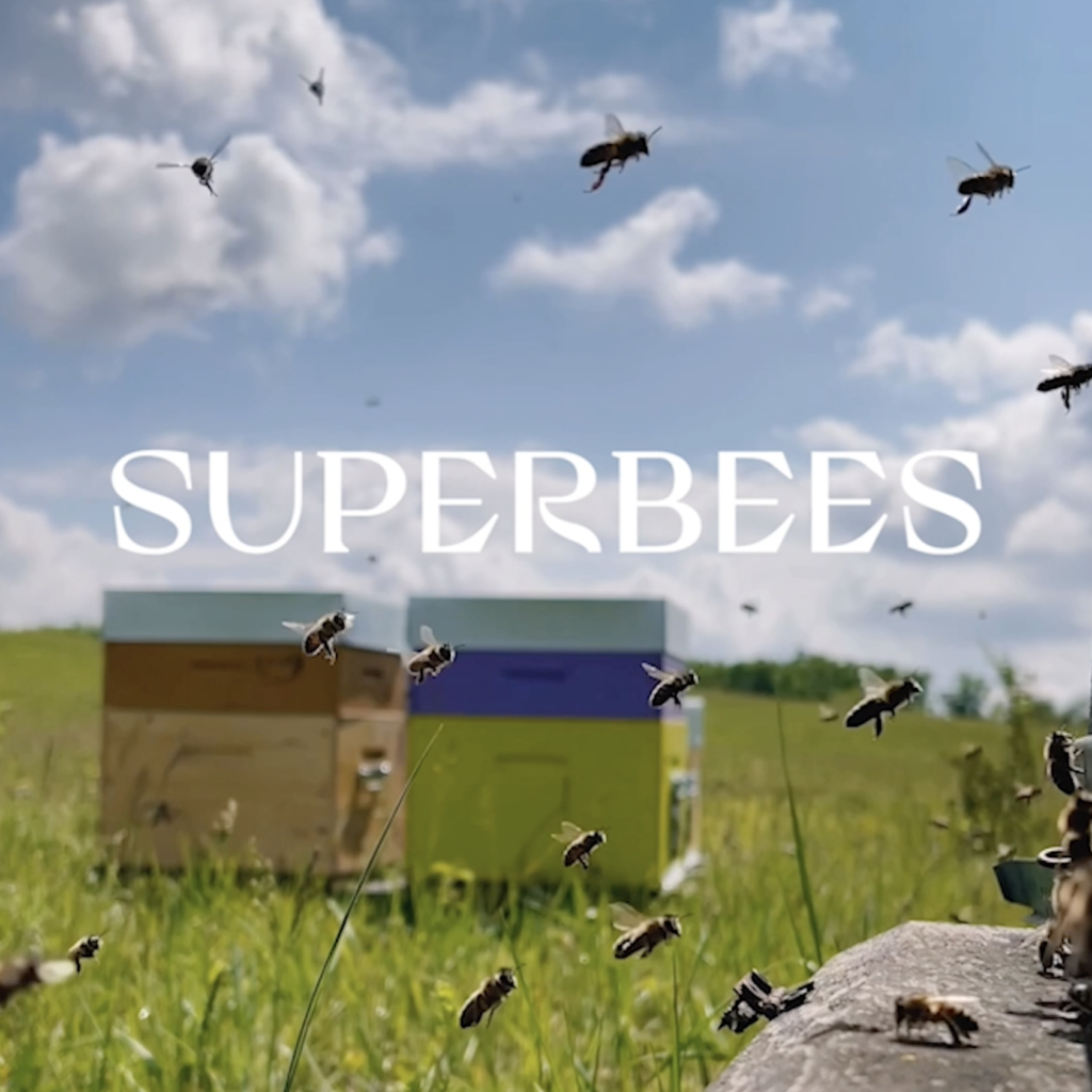 SUPERBEES