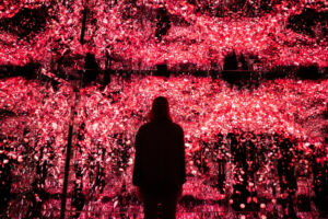 Expérience immersive