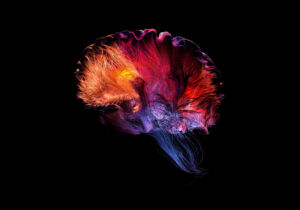 Fragiles : When images stand for a cause