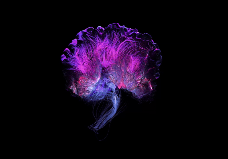 Fragiles : Accompagner une cause, par l’image